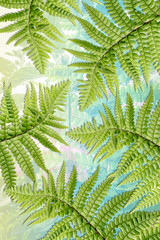 Exotic plants background