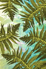 Artistic background with fern leaves