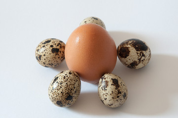 Huevos de codorniz y de gallina