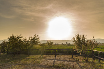 Atardecer en El Prat de Cabanes (Castellon, España).