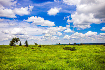 Schöne Aussicht mit Weitblick im Sommer bei Sonne über die Landschaft im Naturschutzgebiet Hohes Venn in Deutschland und Belgien