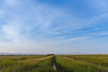 Canal de agua en El Prat de Cabanes (Castellon, España).