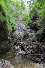 Fototapeta premium Kysel ravine in Slovak Paradise National park, Slovakia
