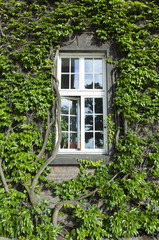 Krakow Old Town Window