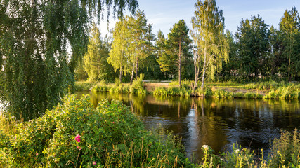летний пейзаж на берегу реки Иртыш с растительностью, Россия, Урал © 7ynp100