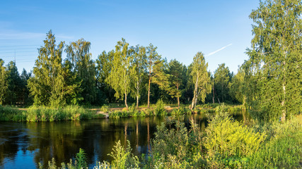летний пейзаж на берегу реки Иртыш с растительностью, Россия, Урал © 7ynp100