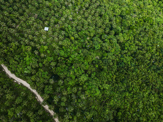 Empty straight road through countryside, aerial view from drone point of view. Bird's eye view of asphalt driveway through tropical rural landscape