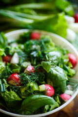 Spring salad from early vegetables, lettuce leaves, radishes and herbs
