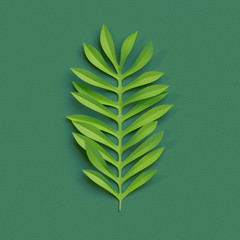 3d render, paper cut decor, green tropical leaf, isolated botanical clip art element