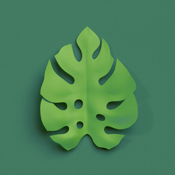Fototapeta 3d render, paper cut decor, green tropical leaf, isolated botanical clip art element