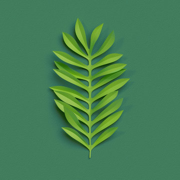 Fototapeta 3d render, paper cut decor, green tropical leaf, isolated botanical clip art element