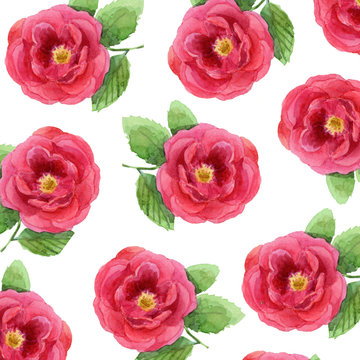 Watercolor pattern with pink roses on white.