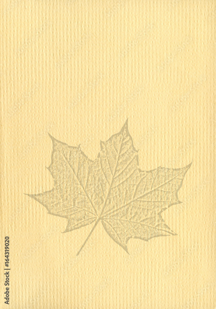 Canvas Prints notepaper document background with a cut out isolated maple leaf watermark