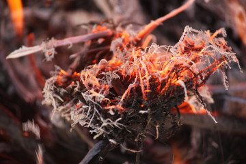 fire, feuer, hot, lagerfeuer