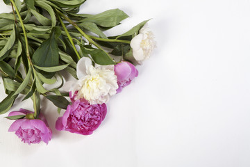 the Pink and white peony flowers on white wooden background