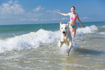 happy girl playing with a dog on the beach