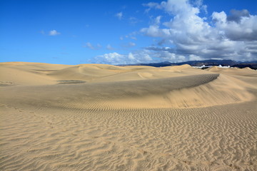Desert by the sea, sand dunes in Maspalomas, Gran Canaria, Spain

