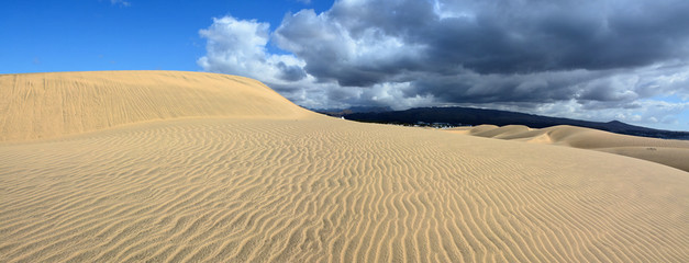 Naklejka premium Desert by the sea, sand dunes in Maspalomas, Gran Canaria, Spain