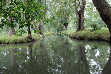 COULON MARAIS POITEVIN