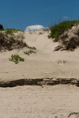Jockey's Ridge Sand Dune in the Outer Banks, North Carolina.