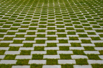  grass and cobblestone pavement  
