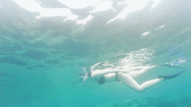 Woman enjoying a snorkel adventure  while on vacation.