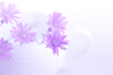 Delicate purple flowers in a white Cup. Airy and soft look . Soft focus.