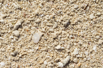Natural coral beach background. Coral sand texture on seaside under tropical sun