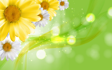 Colorful Naturalistic Beautiful 3D Chamomile Background Vector I