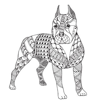 Pit bull terrier zentangle stylized, vector, illustration, freehand pencil, hand drawn, pattern. Zen art. Ornate vector. Lace.