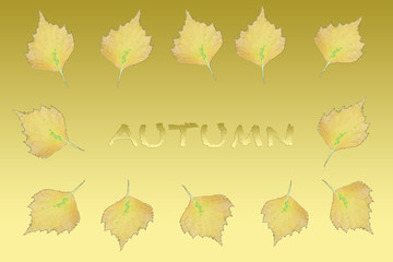 Frame of yellow leaves. Autumn