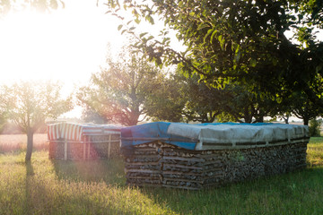 Brennholzstapel © focus finder