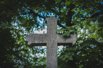 cross shaped gravestone - stone cross