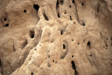 organic structure - termite knoll detail