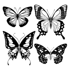 Fototapeta na wymiar Butterfly set monochrome. Four insects in different execution.
