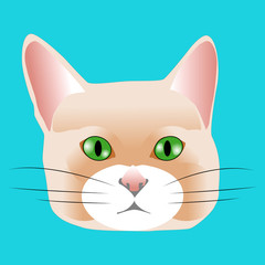 Cute cat face. Vector illustration.