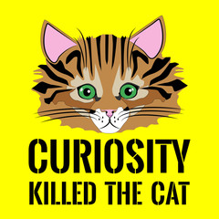 Cat face and the proverb. Curiosity killed the cat.