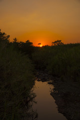 Sunset on Guatemalan coasts, sugarcane plantation and contaminated river
