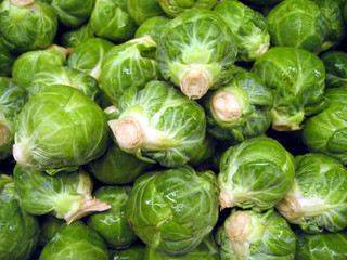Fototapeta na wymiar Lots of fresh picked brussels sprouts