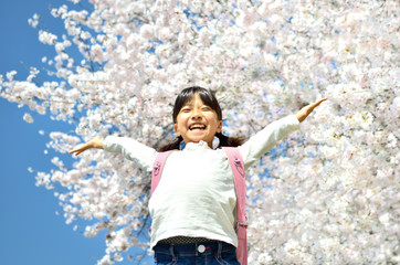 Fototapeta na wymiar 桜と小学生の女の子