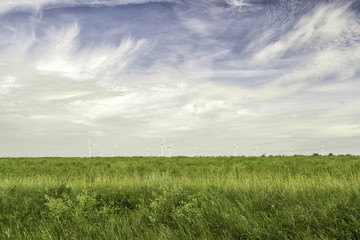 Fototapeta na wymiar Wind Power Stations in Green Field