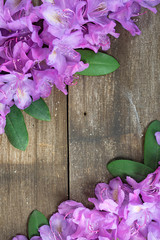 pink azalea floral border on rustic wood