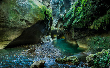 Shades of green