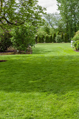 Fototapeta na wymiar Green grass lawn and garden