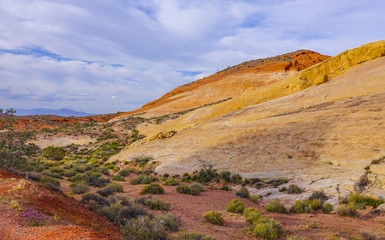 Wonderful Valley of Fire and Red Rock Canyon in Nevada