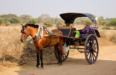 Horse cart carrying tourists in Bagan, Myanmar © Phuong