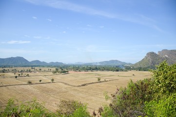Fototapeta na wymiar dry rice field in Kanchanaburi at Thailand