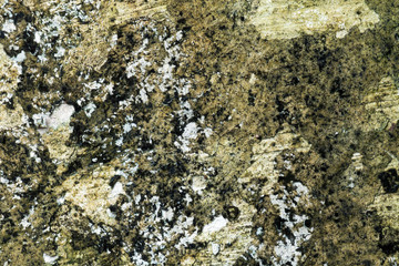 Wall with green stains