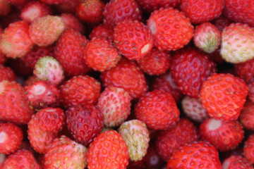 Strawberry background. Strawberry berries.