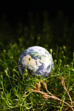 World globe shape of green grass